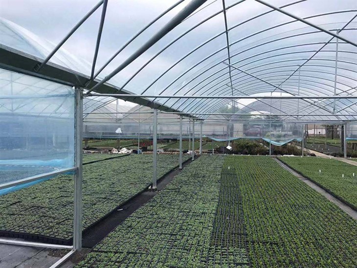 Kunststofffolie für den Gartenbau