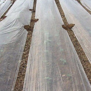 Landwirtschaftliche Mulchfolie